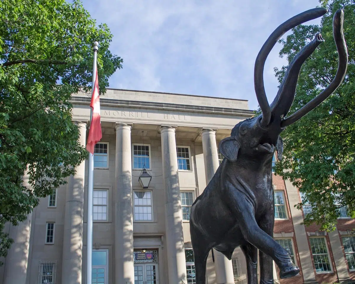 University Of Nebraska State Museum Set To Open KLIN News/Talk 1400