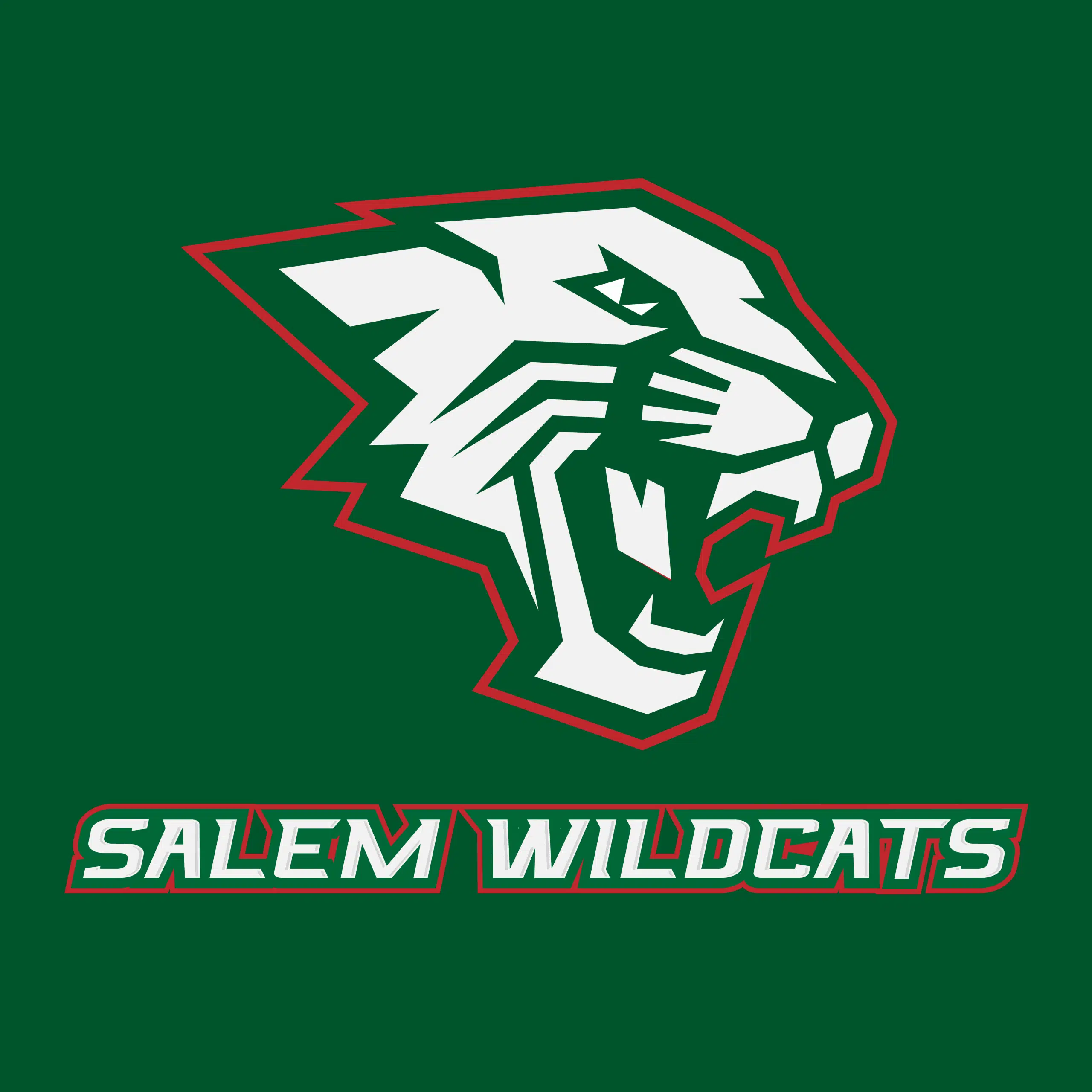 Salem Softball Splits Summer League Opening DH | South Central Illinois