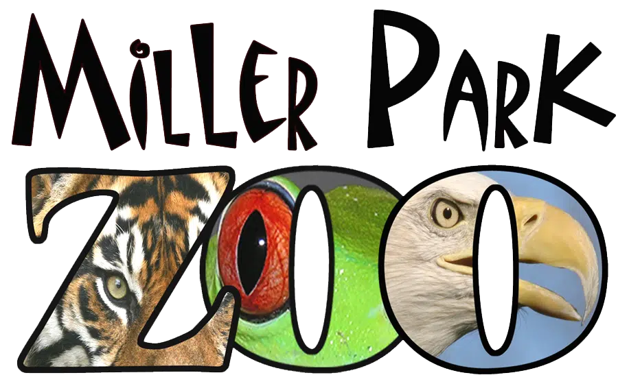 Miller Park Zoo