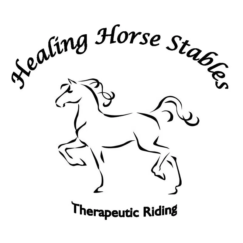 Equine therapy, not just for horses. Neuhoff Media