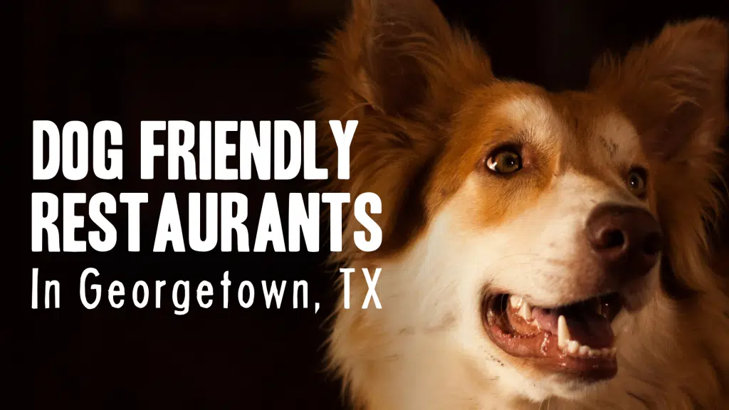 Dog Friendly Restaurants in Georgetown, TX