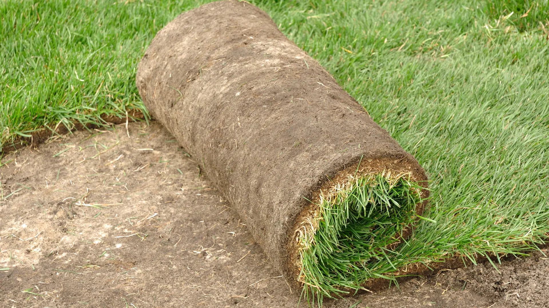 New Sod Installed at Historic County Courthouse Georgetown Texas