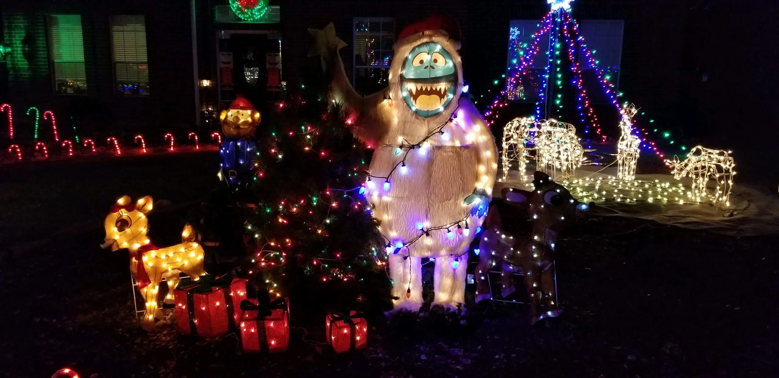 Georgetown Texas Christmas Lights