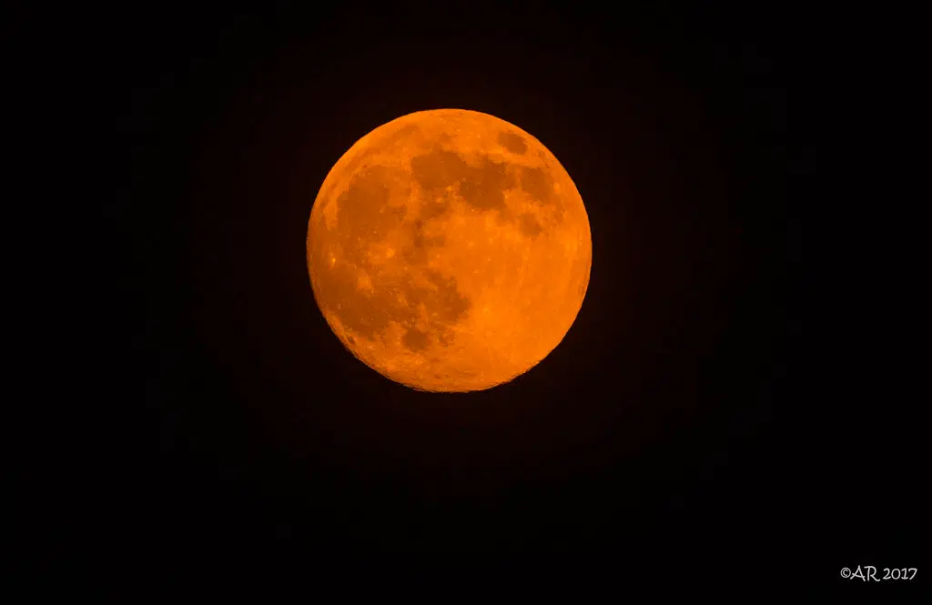 A Very Cool Moon is Coming Next Week! ParklandNow.ca
