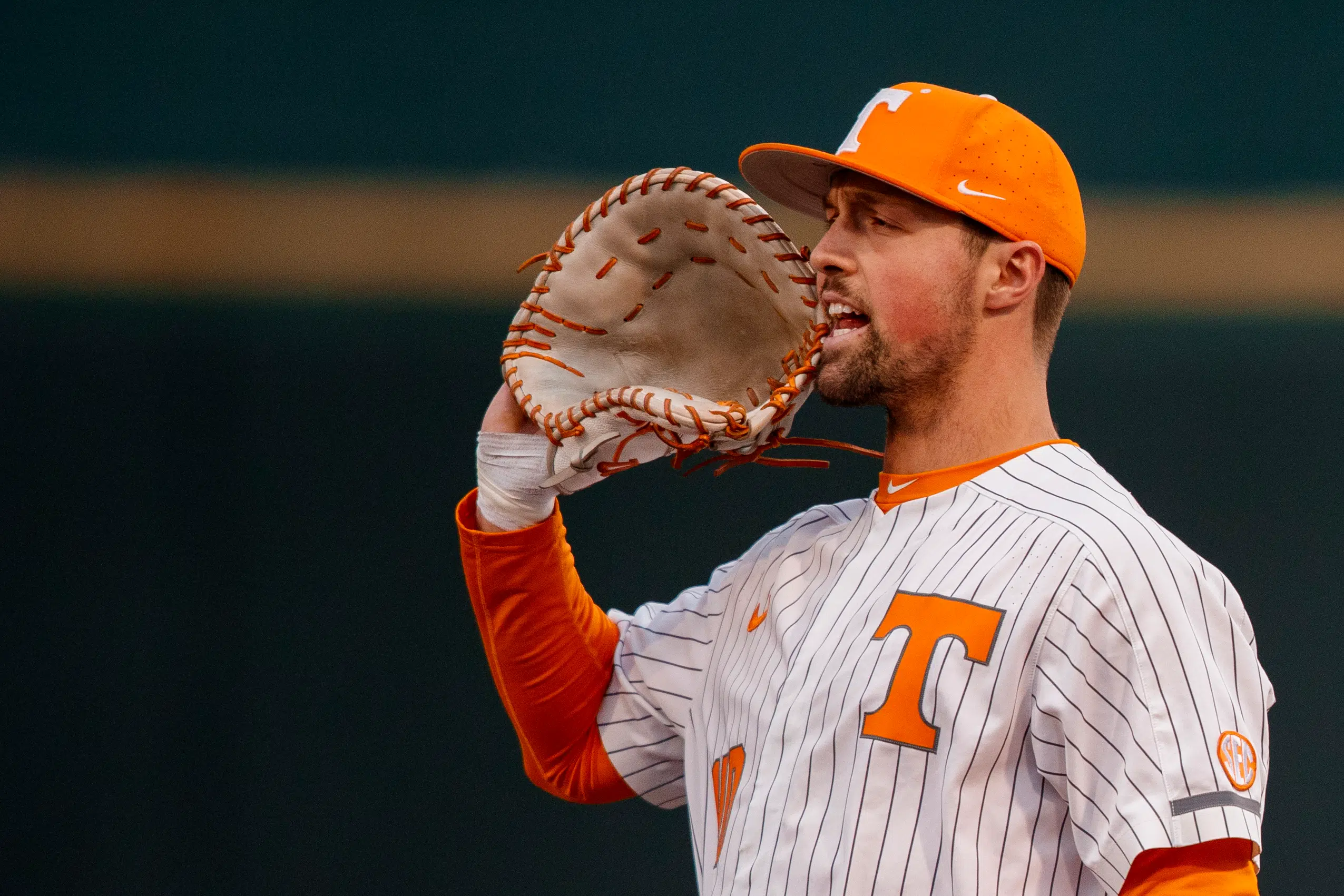 Luc Lipcius: Tennessee baseball first baseman in photos