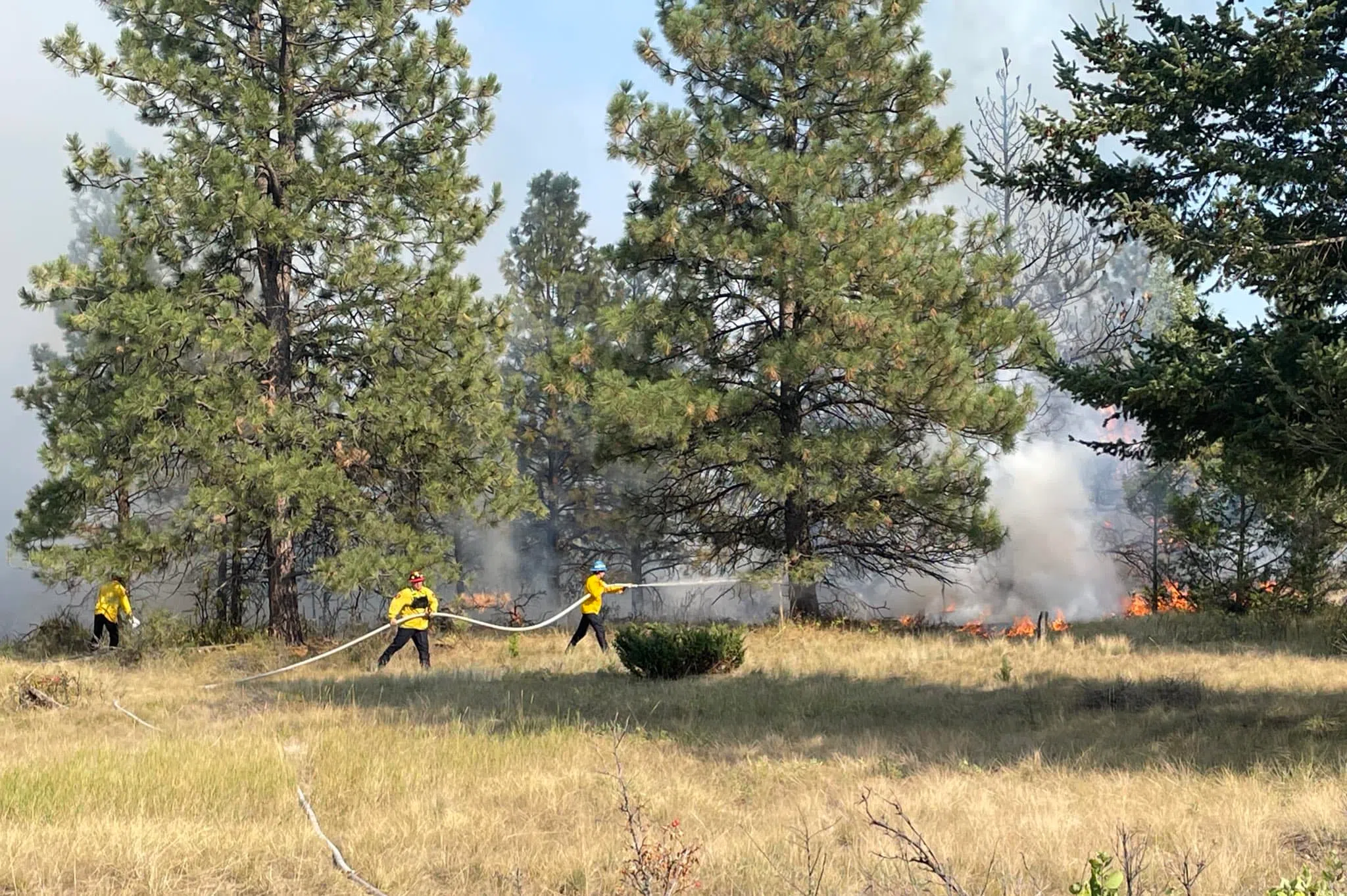 Brush fire extinguished near Wildstone Golf Course