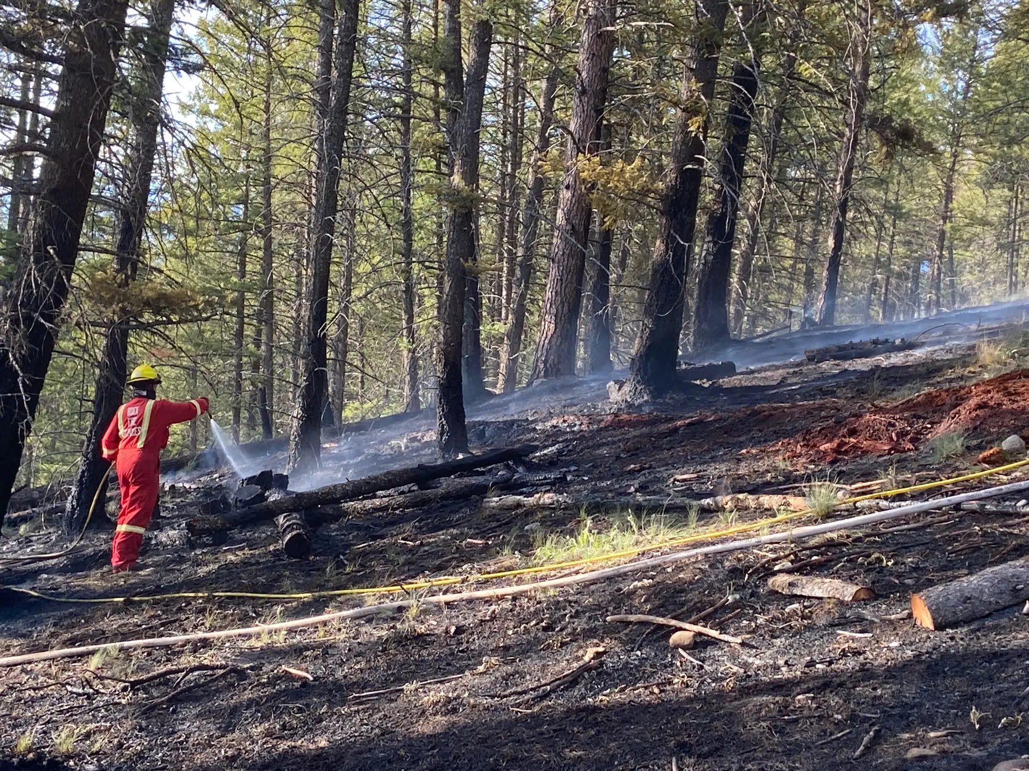 South Country Fire Department responds to one hectare fire in Baynes