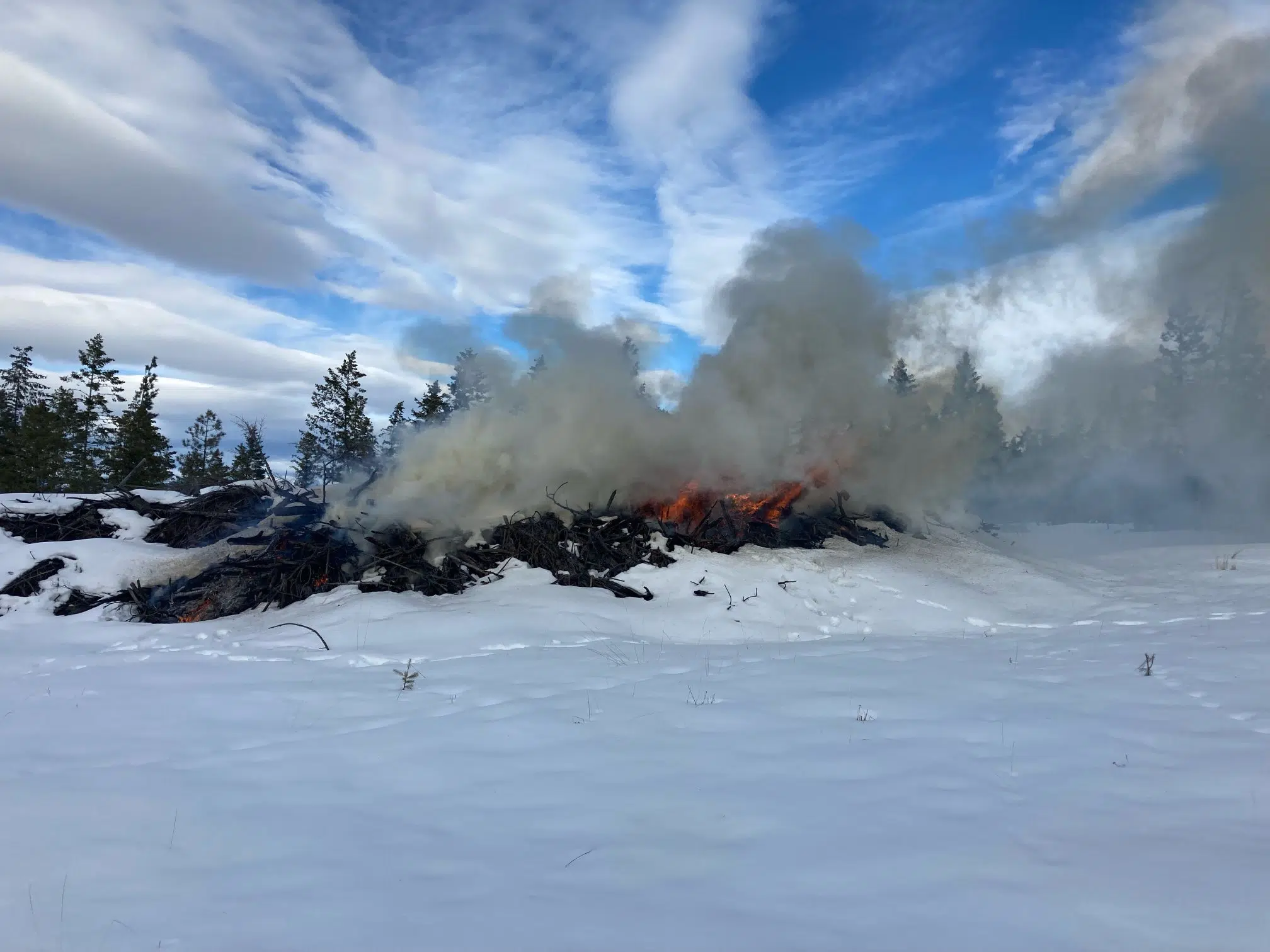 Firefighters monitoring burning project in Cranbrook | Wild 104.7 ...