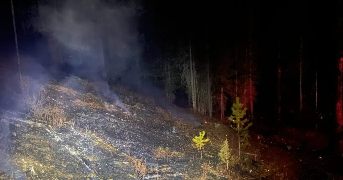 Grassfire extinguished near Baynes Lake Wild 104.7 East Kootenay's