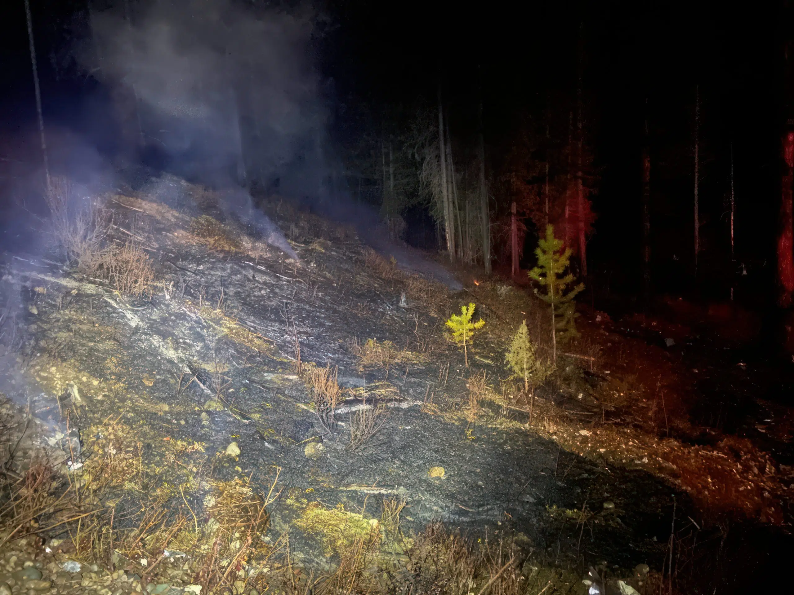 Grassfire extinguished near Baynes Lake Wild 104.7 East Kootenay's