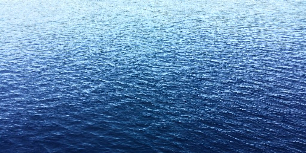 Great White Shark Pinged Off Cape Forchu - Vimarsana News