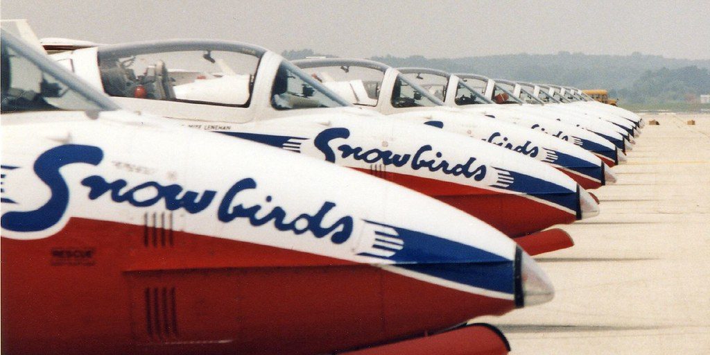 Snowbirds returning to N.B. next month - Vimarsana News