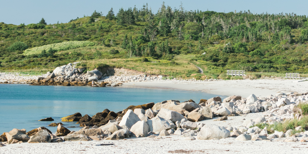 New funding for Nova Scotia non-profit fighting climate change - Vimarsana News