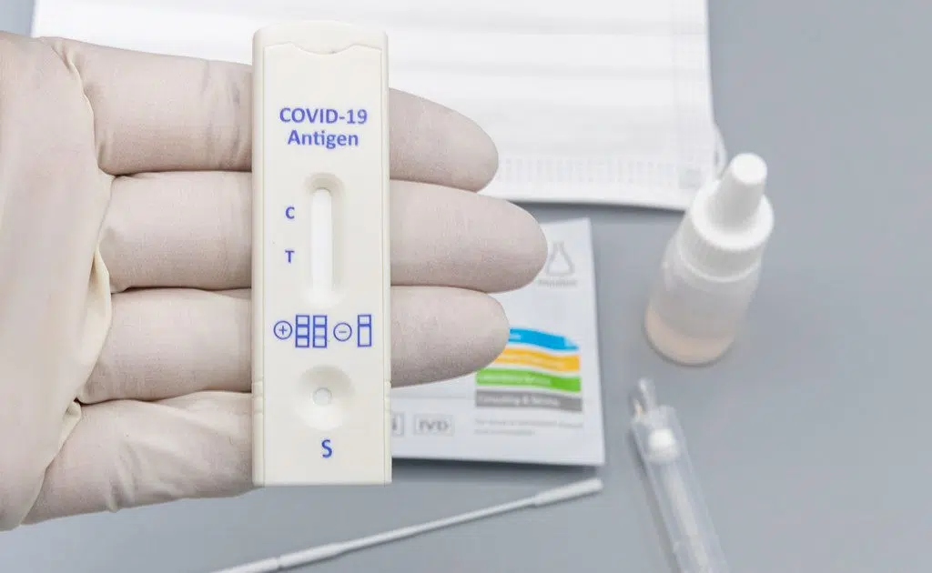 COVID Rapid Tests Kits Now Easier To Obtain For New Brunswickers