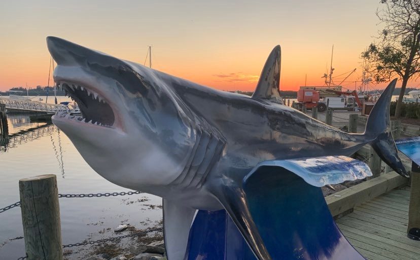Yarmouth Shark Scramble Results - Vimarsana News