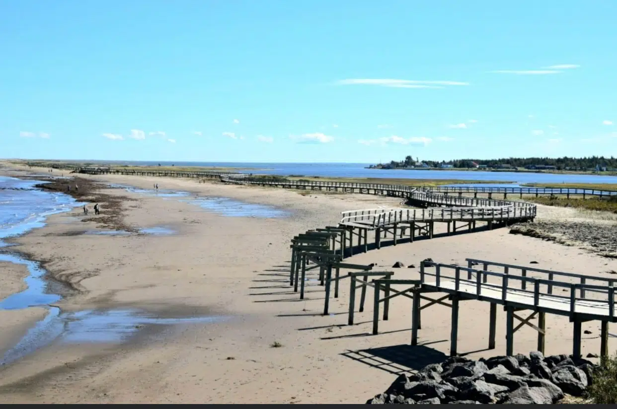 Boardwalk At Bouctouche Dunes Damaged Country 94