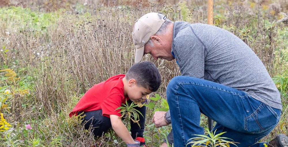 Volunteers Will Plant Up To 600 Trees In Saint John - Vimarsana News