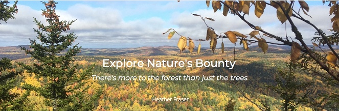 Connecting With Nature Is Focus Of New Venture - Vimarsana News