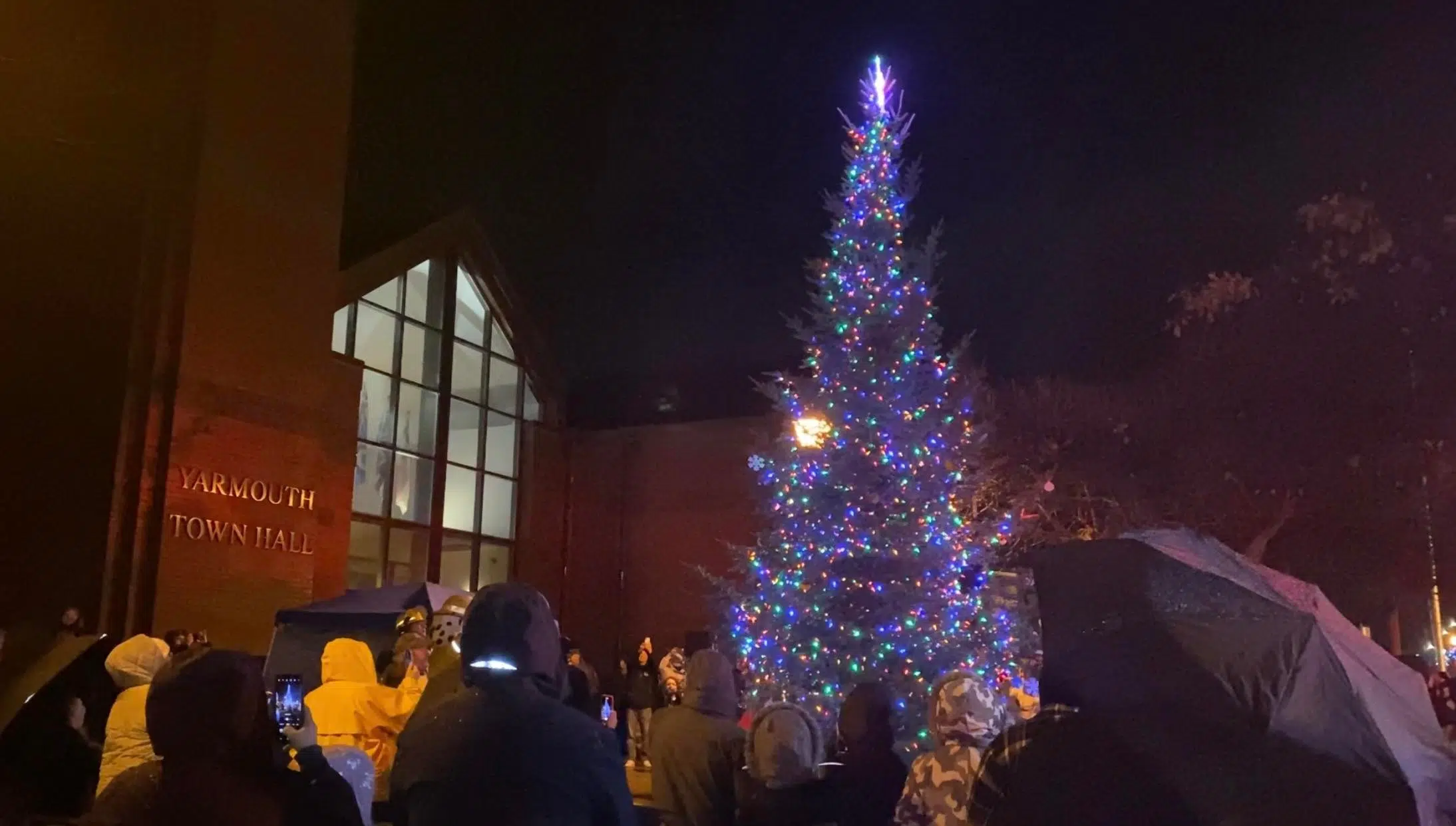Town of Yarmouth Christmas tree donated by Acadia First Nation Y95.5