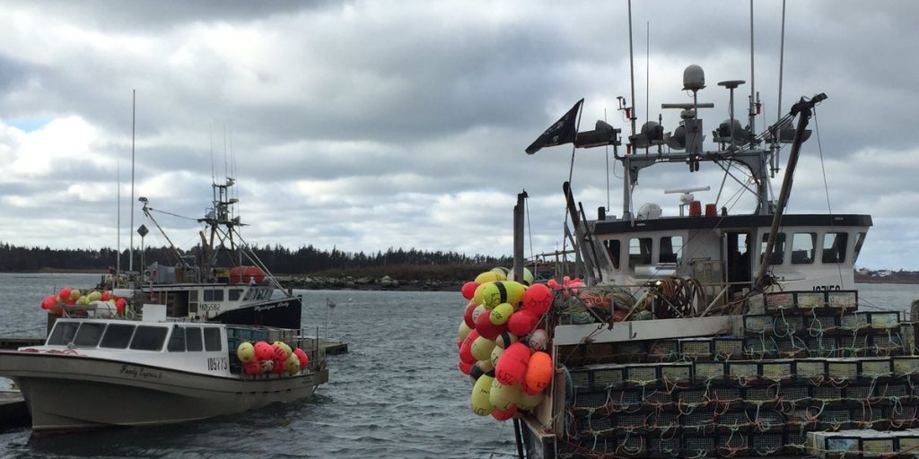 Fish Safe NS Encouraging PFD Use Ahead Of Dumping Day - Vimarsana News