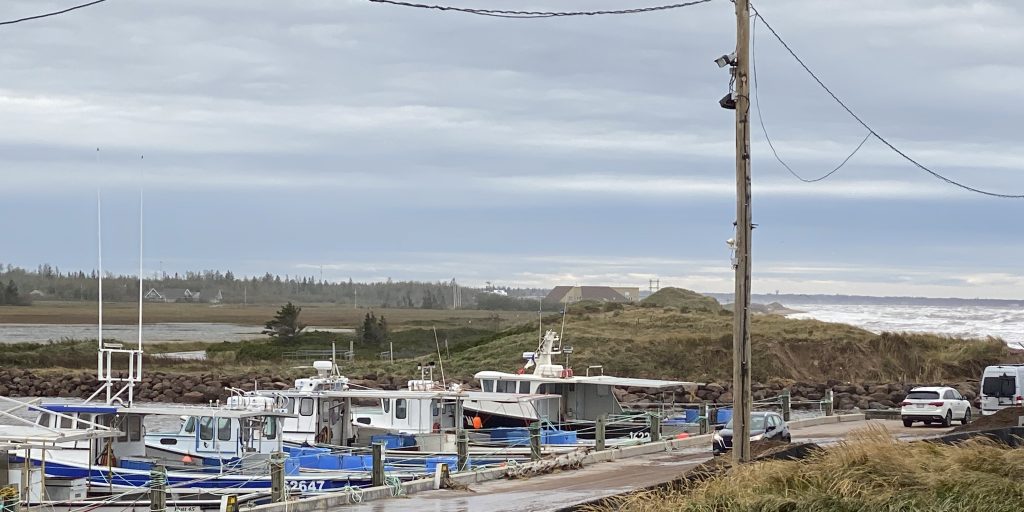 DFO preparing for start of lobster fishing season - Vimarsana News
