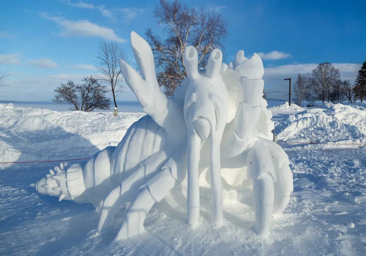 Snow Sculpture Competition Announced | 99.9 THE BAY