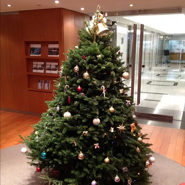 Caring For Your Christmas Tree Country 100.7