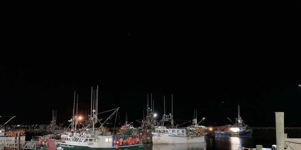 Conservative MPs call for urgent action against lobster poaching in St. Mary's Bay - Vimarsana News