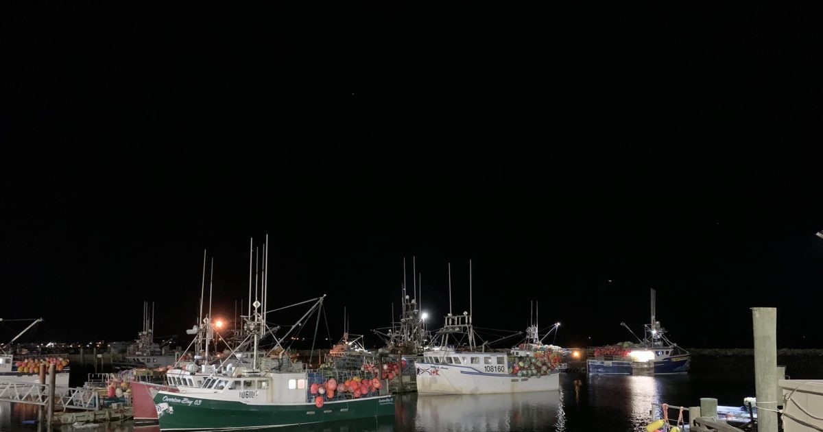 Liberals calling on Houston to step up with more support for fishers - Vimarsana News