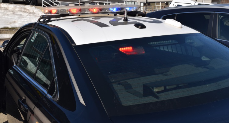 Two Charged with Shoplifting at Park Street Business - Vimarsana News