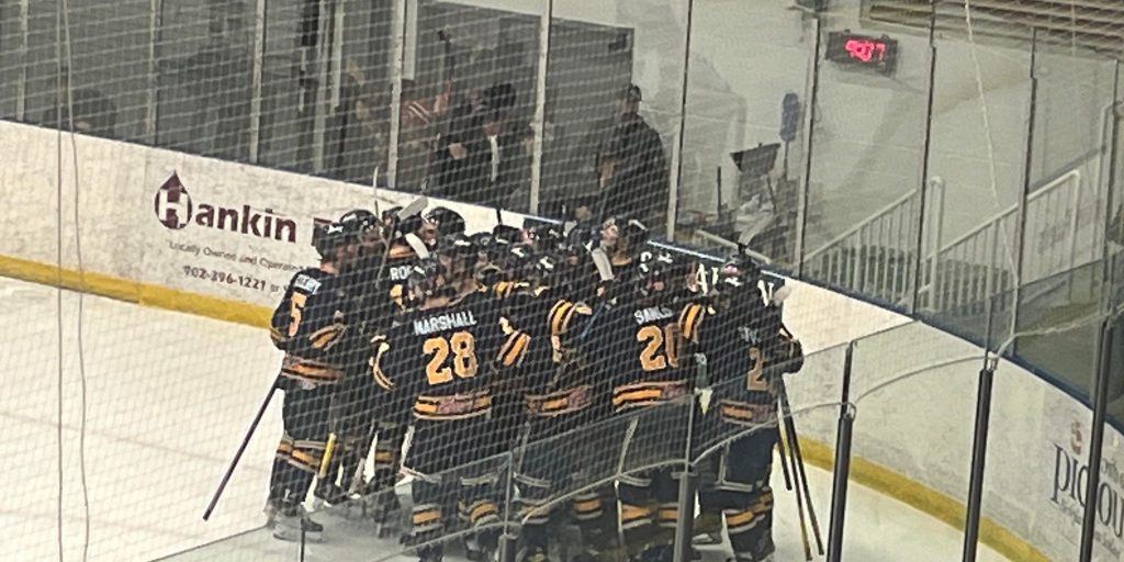 Mayne's OT winner sends Mariners to division final - Vimarsana News