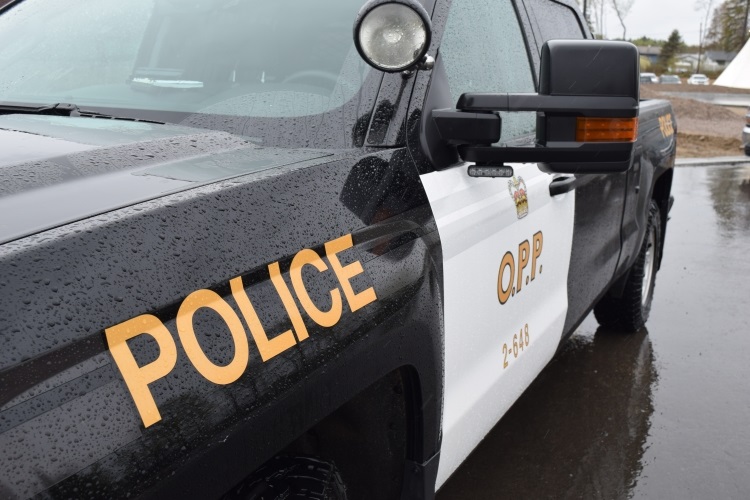 27-year-old busted with 5 firearms, cocaine in Oxdrift - Vimarsana News