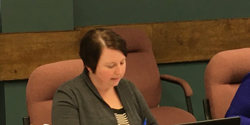 Town budget explained - Vimarsana News