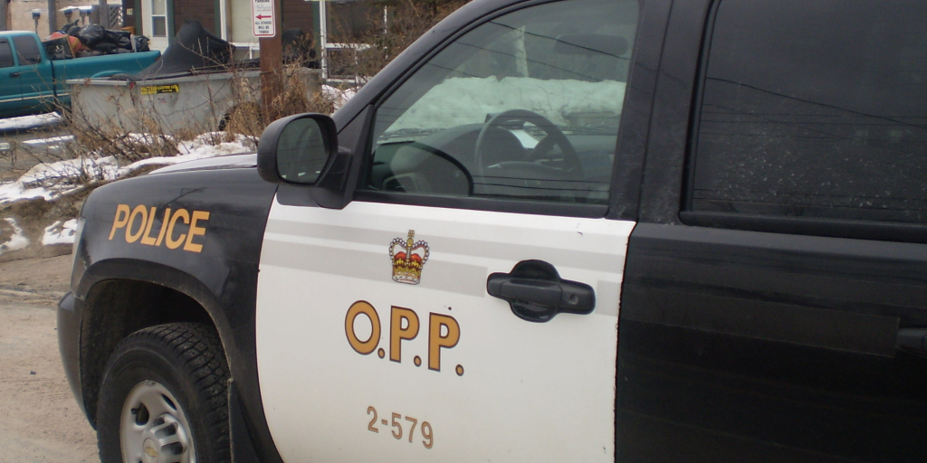 Second person arrested in connection to carjacking - Vimarsana News