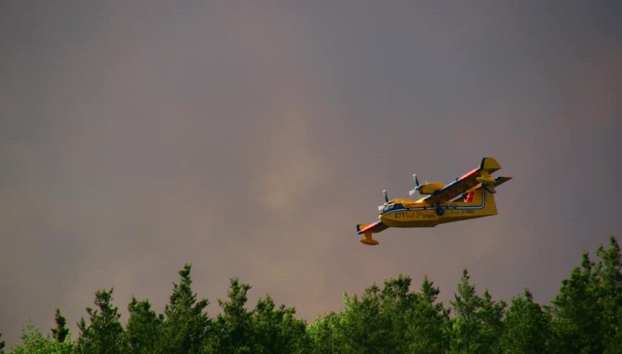 Fire near Wabaseemoong declared out - Vimarsana News