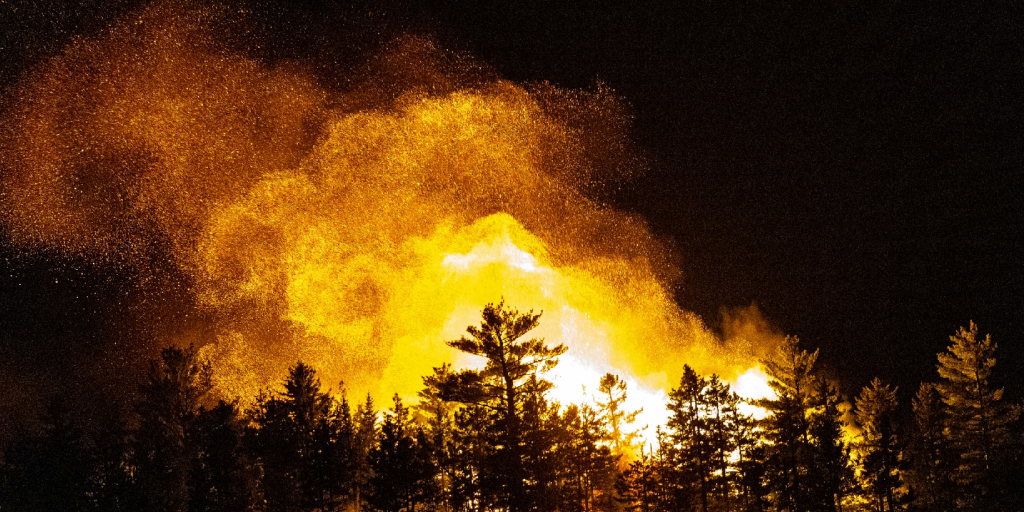 UPDATE: Crews making progress on Saint Andrews-area fire - Vimarsana News