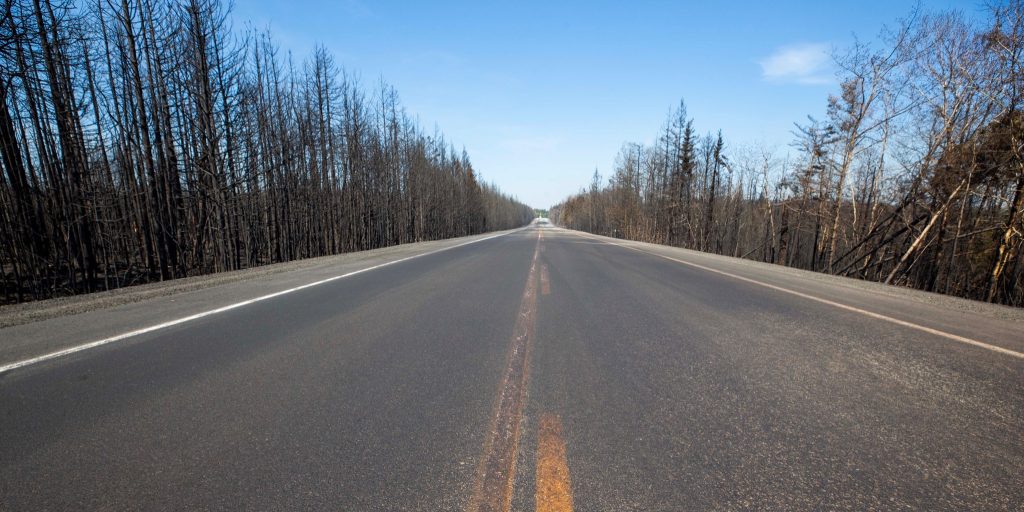 N.S. banning all activities in the woods to prevent more fires - Vimarsana News