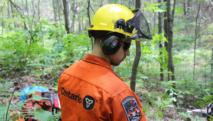 MNRF reports forest fire near Wabaseemoong - Vimarsana News
