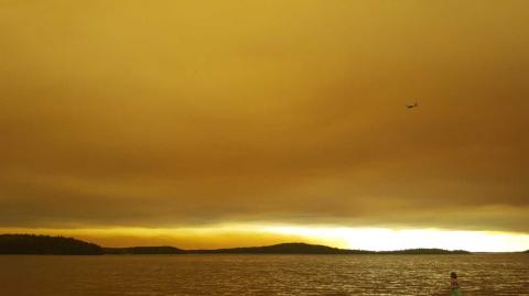Health Unit offers tips against smoky air - Vimarsana News