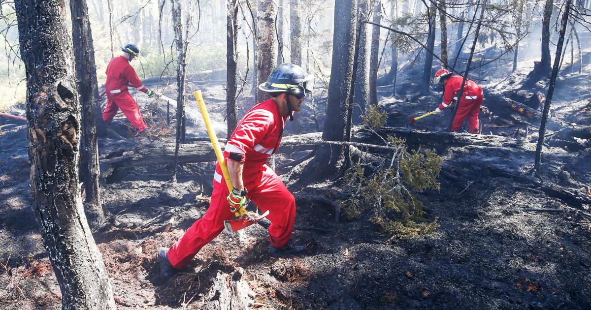 More evacuation zones lifted in Tantallon - Vimarsana News