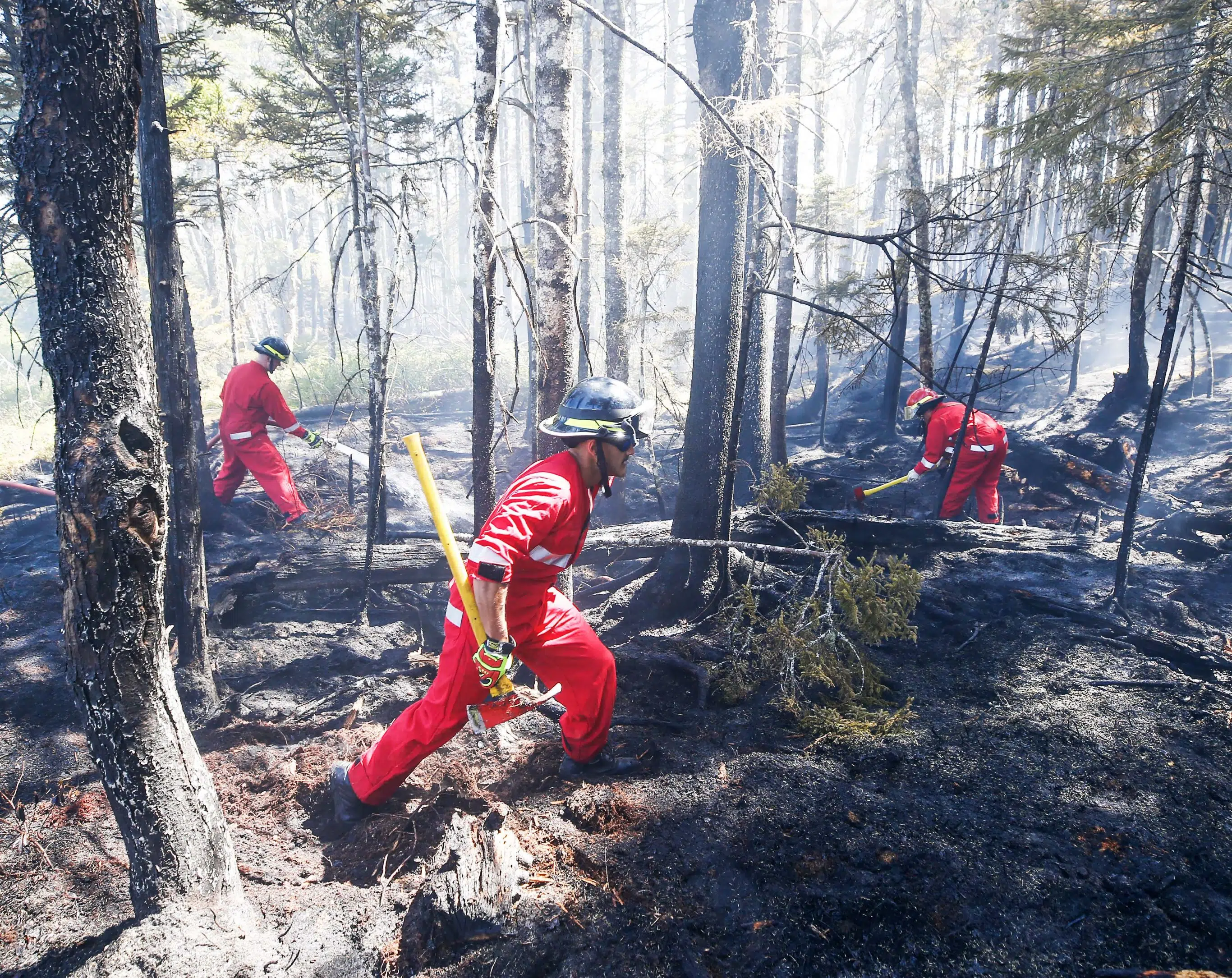 Tantallon wildfire grew by 49 hectares yesterday Country 100.7