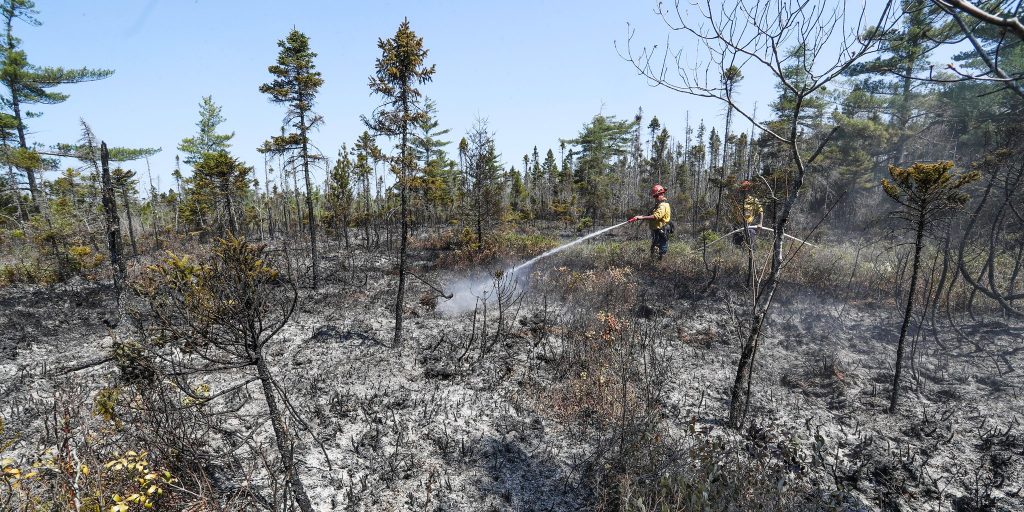 Highway 103 set to re-open, schools closed in Shelburne - Vimarsana News