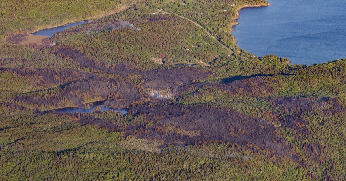 Funding for residents impacted by Stein Lake fire - Vimarsana News