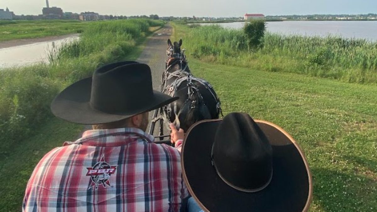 Summer brings horse and carriage rides on Riverfront Trail in Riverview - Vimarsana News