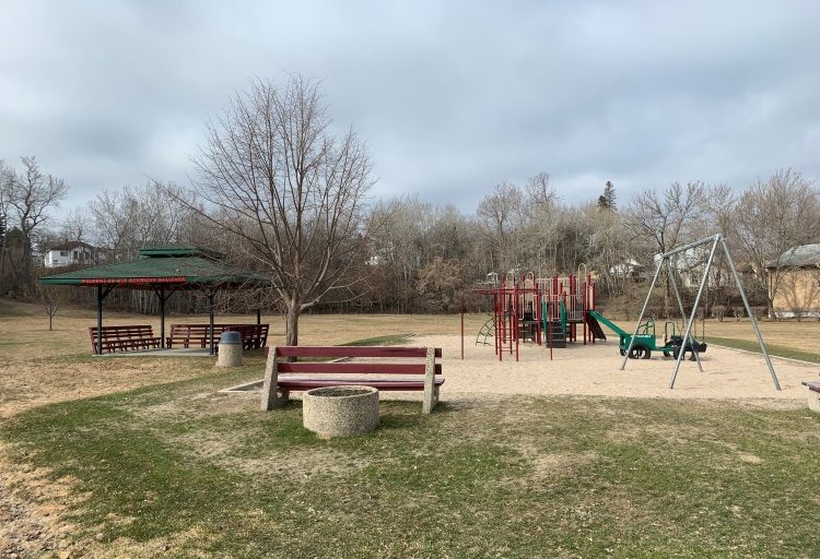 Council looking at a dog park in Keewatin - Vimarsana News