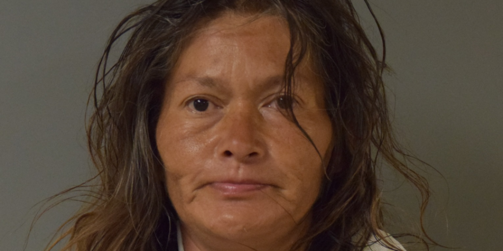 Missing 53-year-old woman in Moncton - Vimarsana News