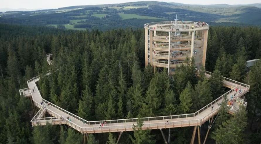 Victoria County officials take trip to explore potential tree walk designs - Vimarsana News