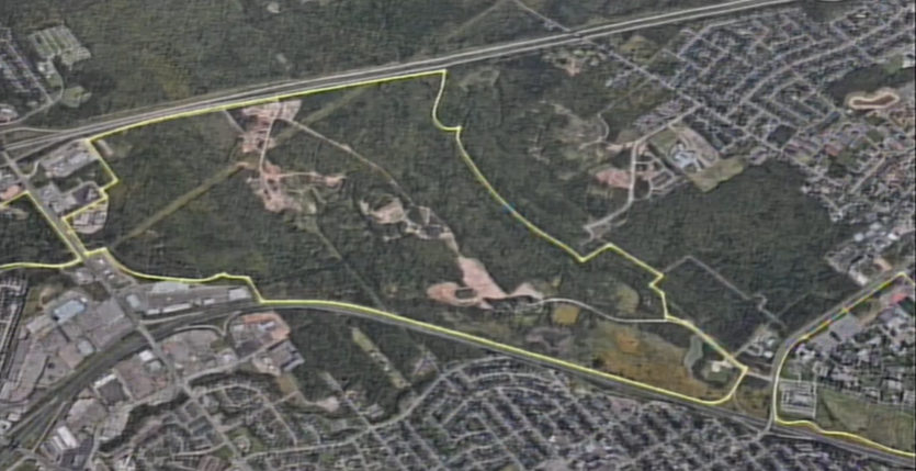 Input required for development on Moncton's 'Vision Lands' - Vimarsana News