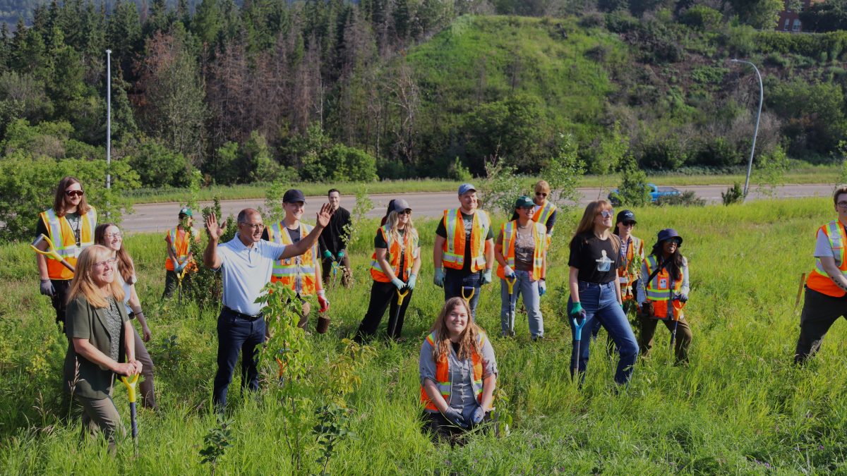 Edmonton to plant over 2 million trees over the next 8 years - Vimarsana News