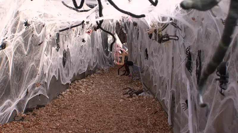 Redcliff Greenhouse becomes Haunted House for a great cause | MY96 FM